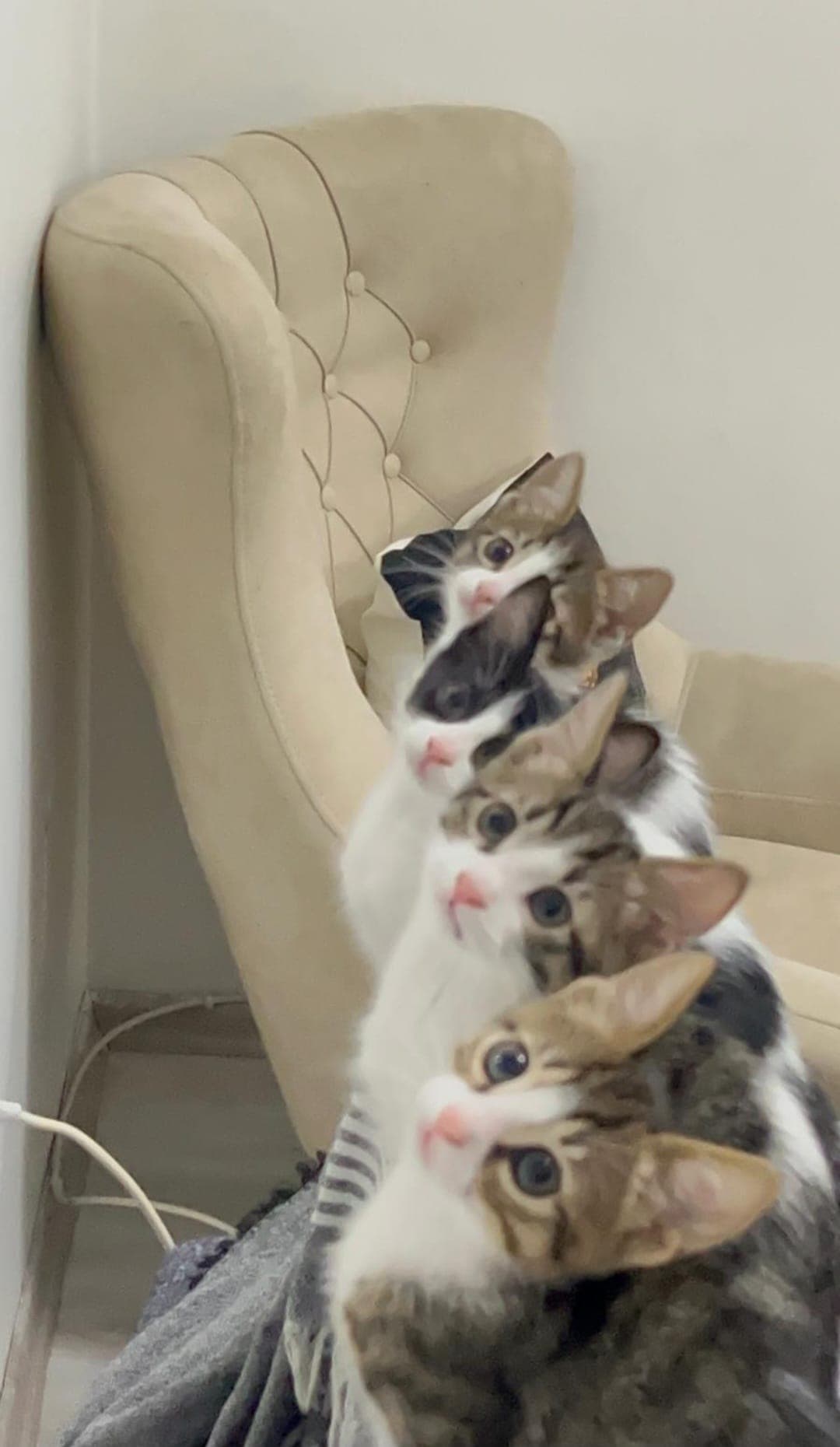 Kliniğimiz Görsel 3