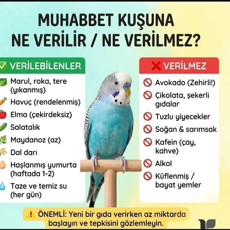 Kliniğimiz Görsel 5