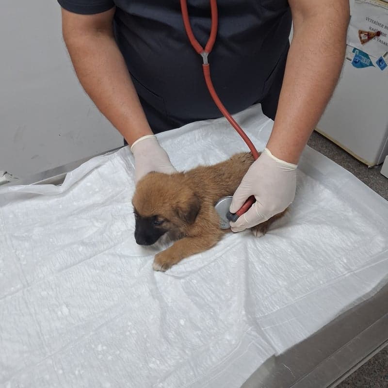 Kliniğimiz Görsel 6
