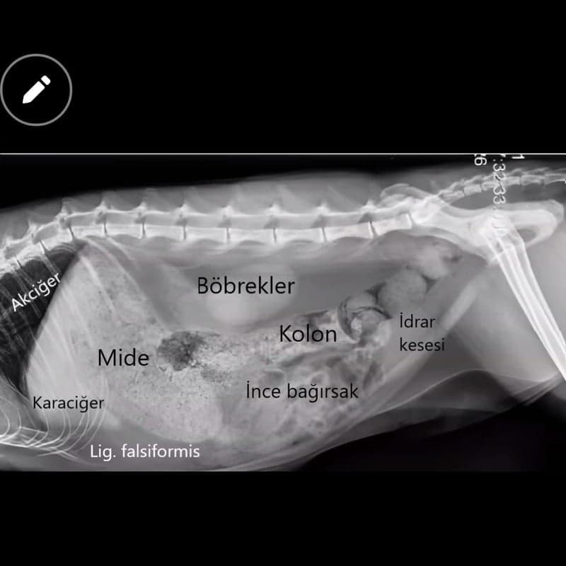 Kliniğimiz Görsel 9