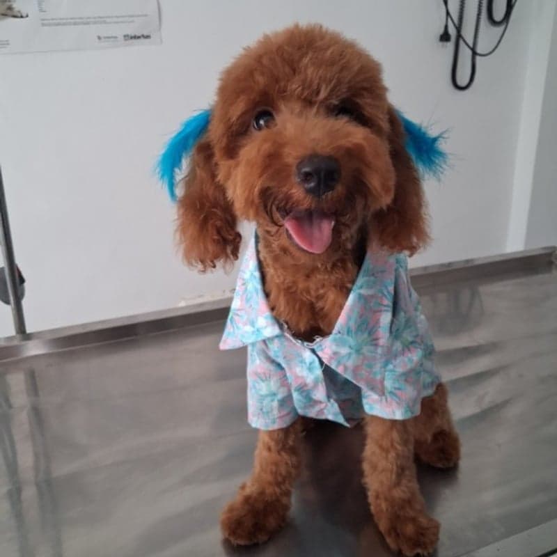Kliniğimiz Görsel 24